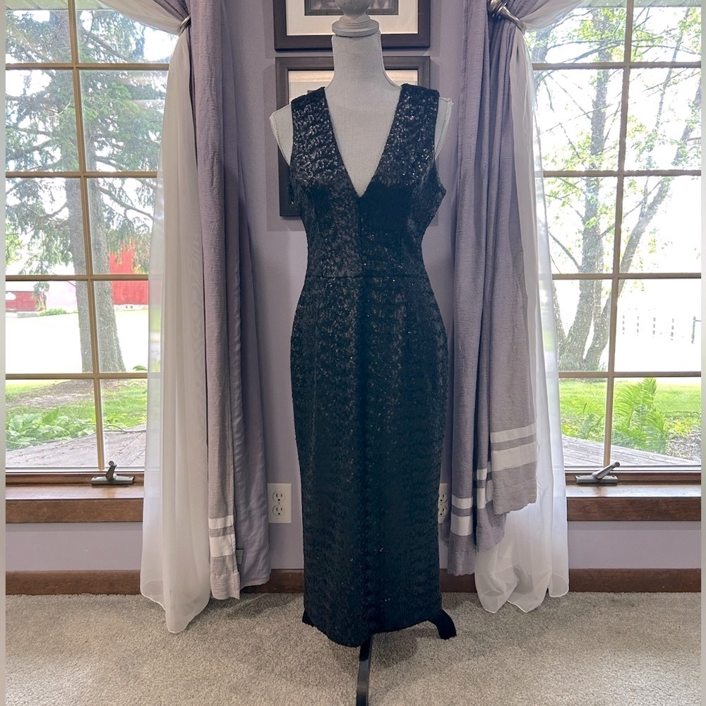 NWT Dress the Population Sequin Midi Dress